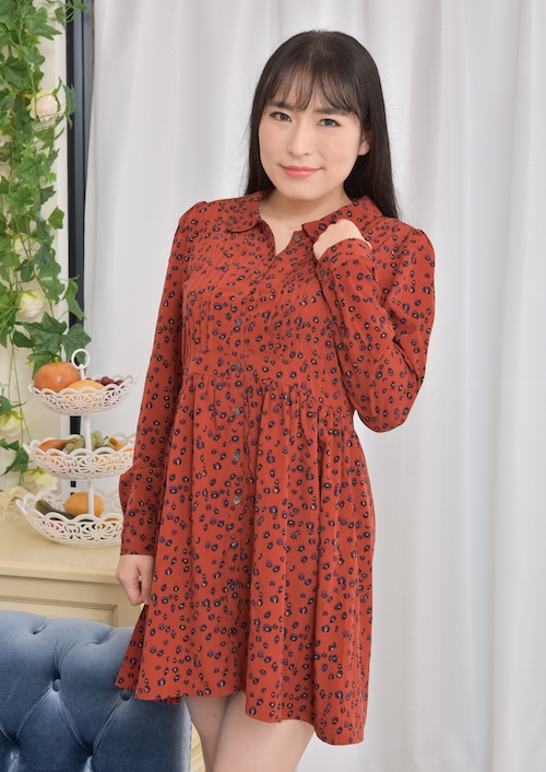 Kayo Iwasawa VR adult performer profile