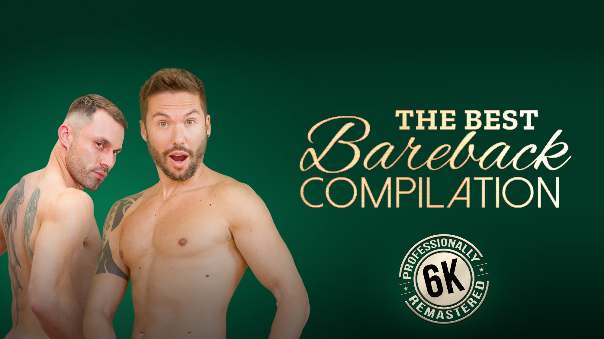 Gay bareback compilation featuring multiple performers in 4K VR with 60 FPS quality and premium production values.