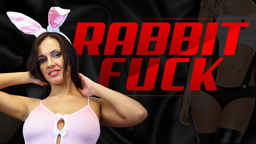 Miss K in bunny costume performs anal and oral acts on camera in this VR Conk 60FPS POV video.
