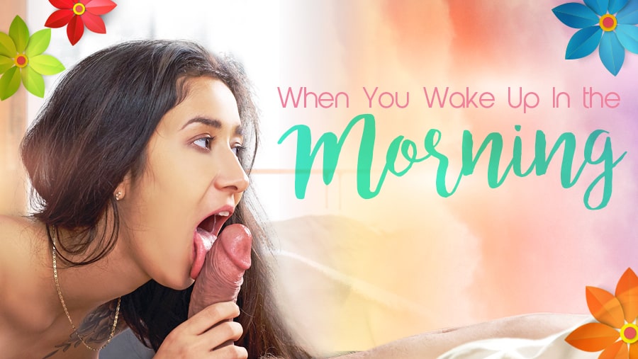 Darcia Lee performs a morning POV blowjob in 4K VR with realistic passthrough visuals and high frame rate rendering.