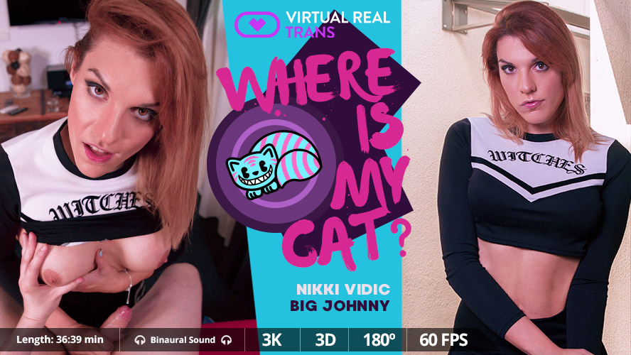 Brunette Nikki Vidic performs a blowjob in a VR scene featuring 4K resolution and 180 degree viewing angles from VirtualRealTrans.