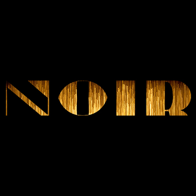 Noir VR porn studio logo highlighting 132 immersive virtual reality adult scenes for immersive headsets.